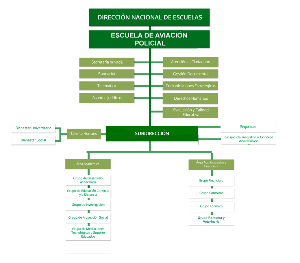 Organigrama ESAVI