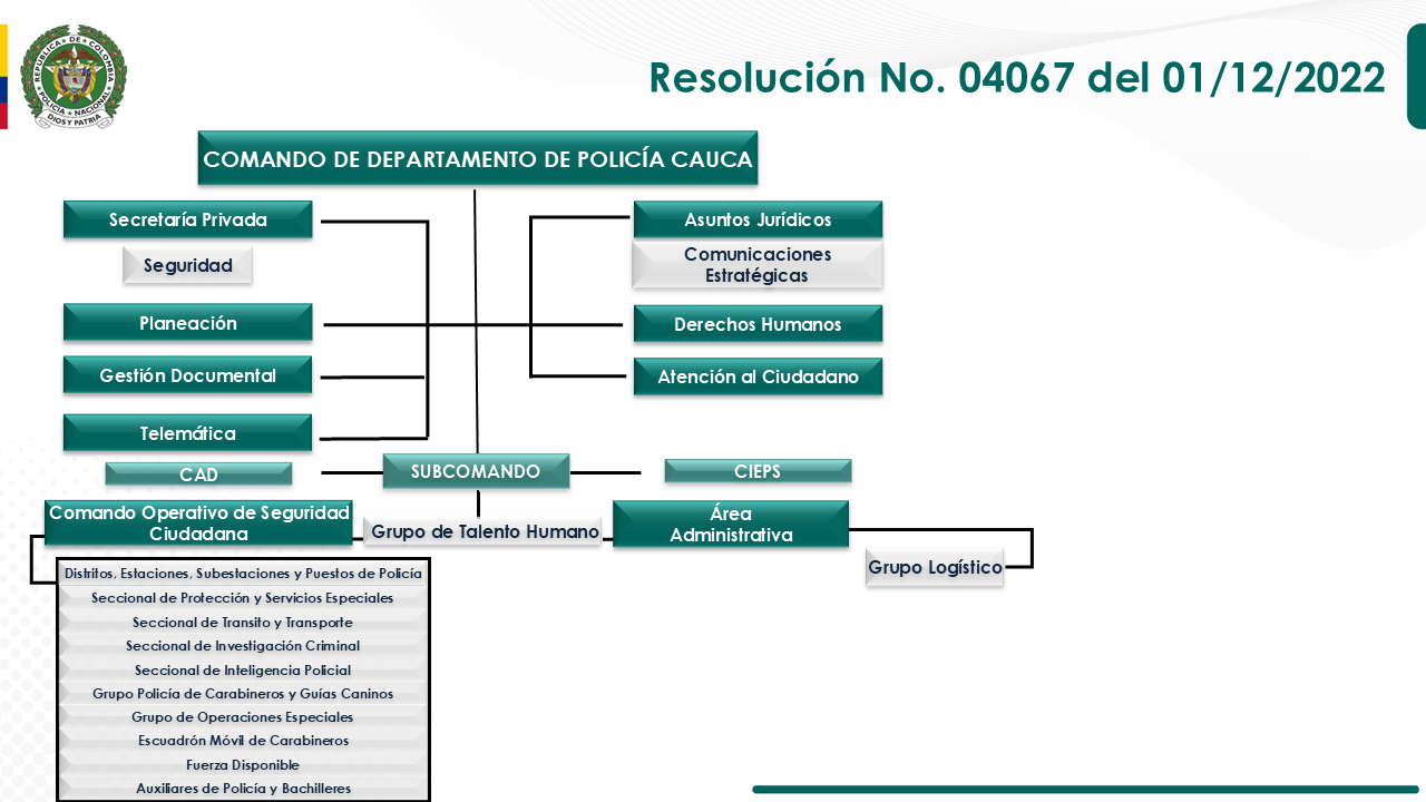 Organigrama Departamento de Policía Cauca
