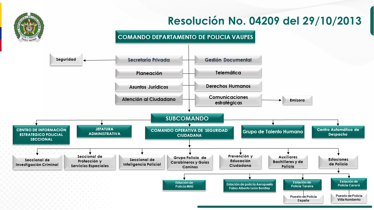 Organigrama