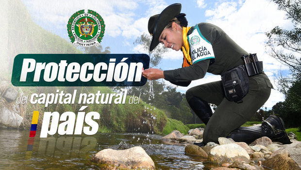 Lineamientos Estratégicos - Protección del capital natural del país