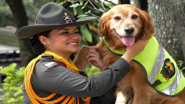 Grupo de guías caninos K9