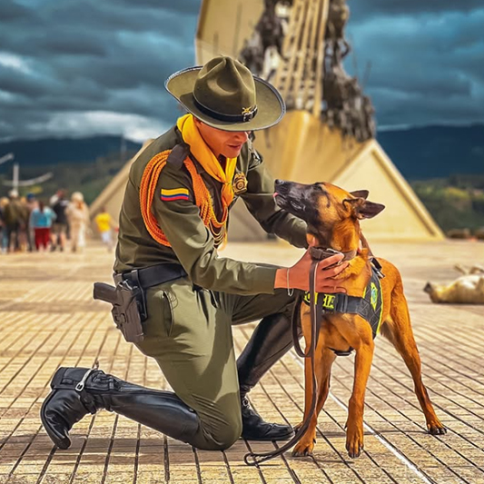 Dirección de Carabineros y Protección Ambiental