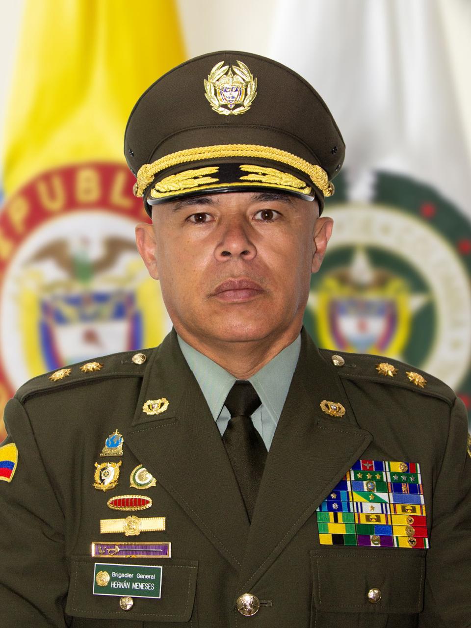 Hernan Alonso Meneses Gelves