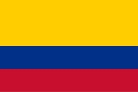 Coronel Henry Alexander Leal Velásquez 