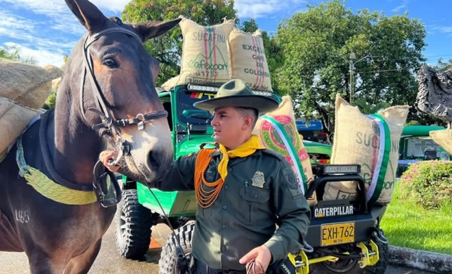 Direcci&oacute;n de Carabineros y Protecci&oacute;n Ambiental