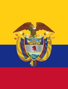 Néstor Armando Pineda Castellanos
