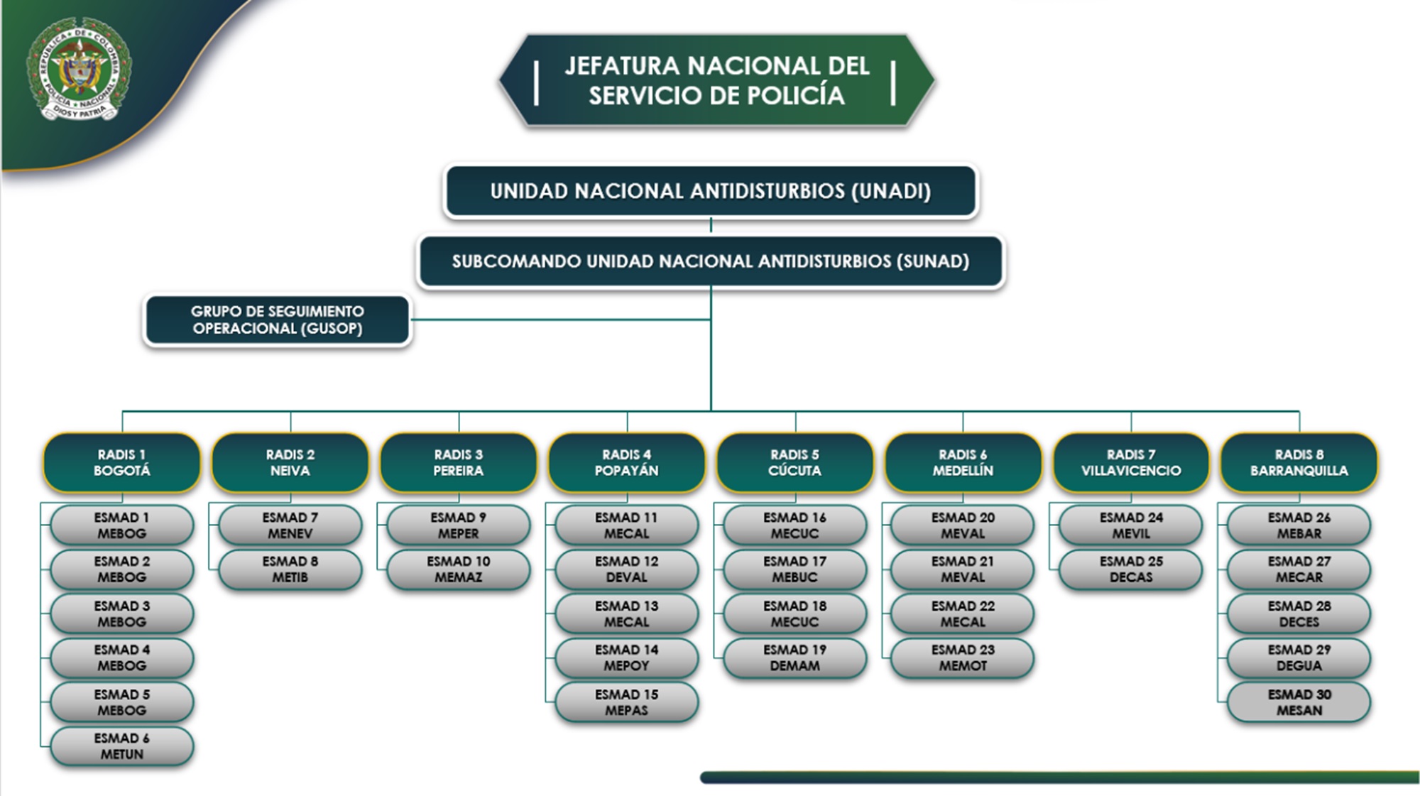 Estructura org&aacute;nica