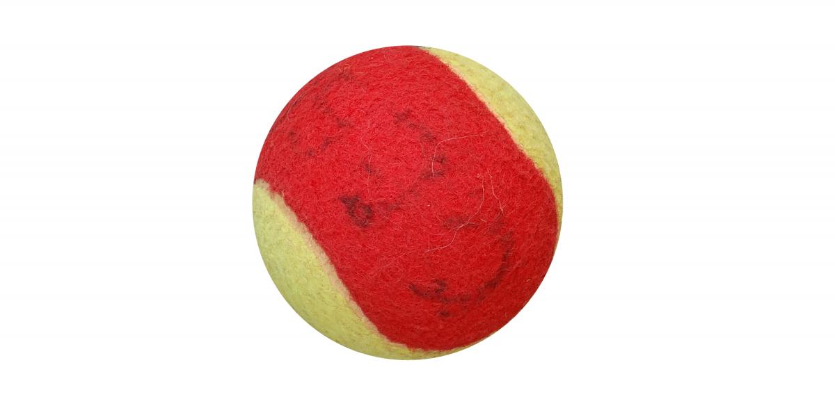 Pelota