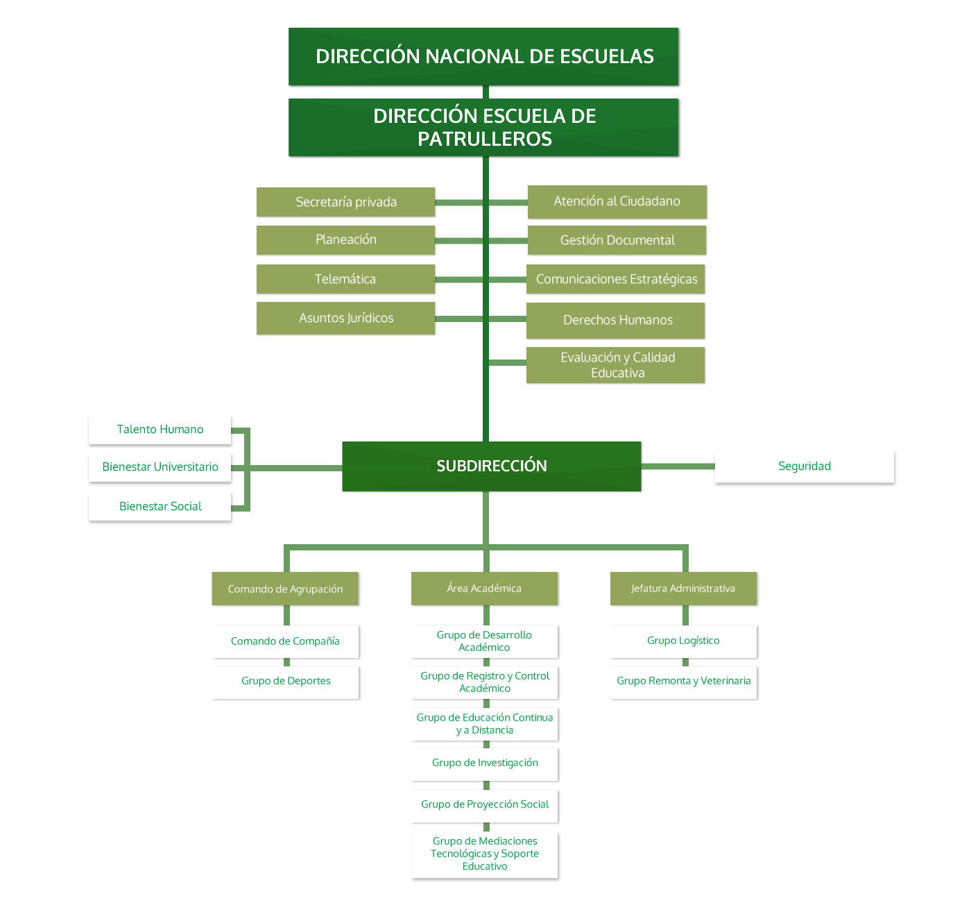Organigrama ESECU