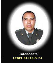 Arnel Salas