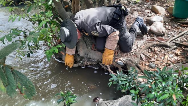 Policía Nacional y la Corporación Autónoma Regional del Alto Magdalena realizan la liberación de varias especies