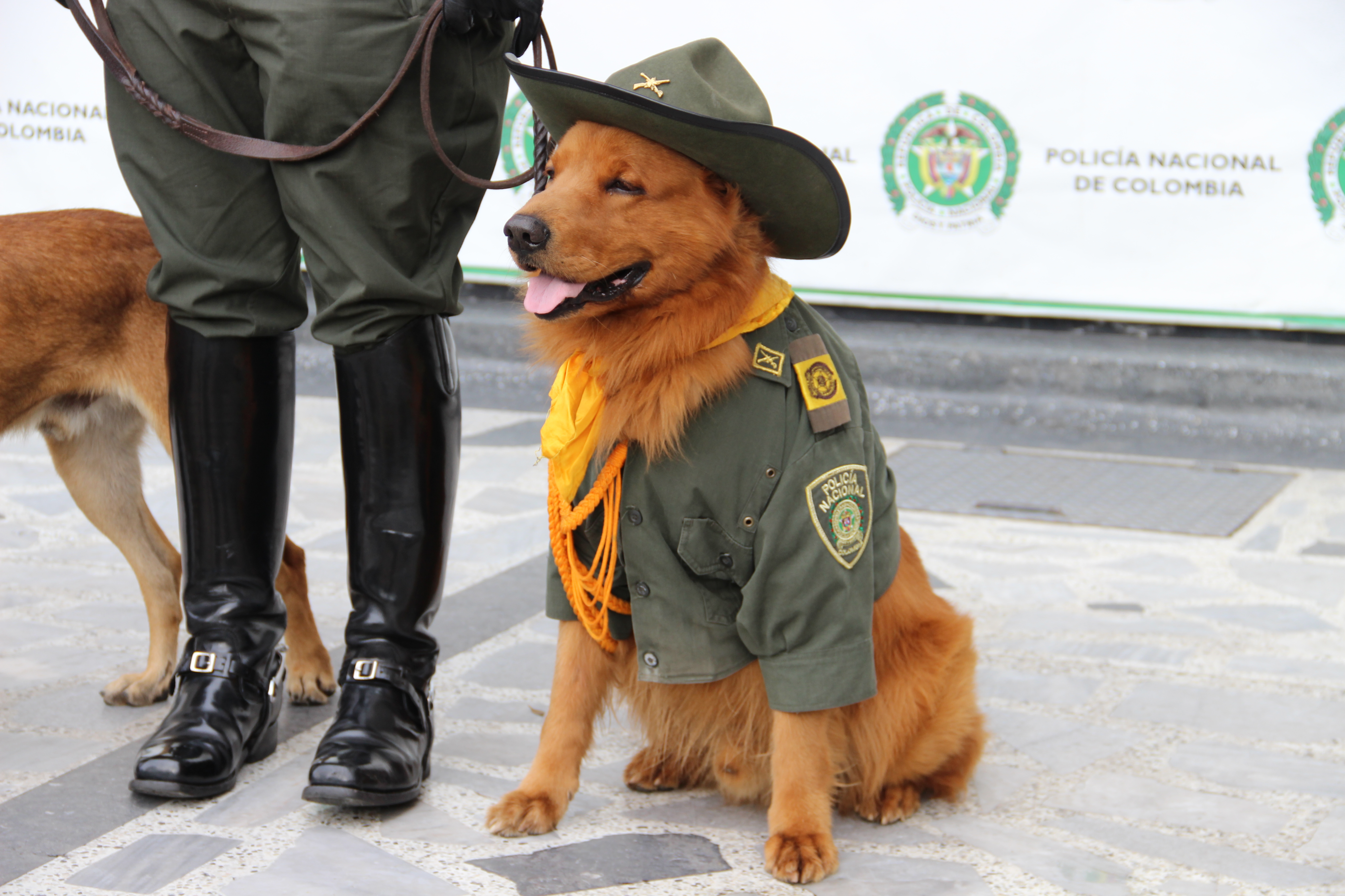 guias-encuentran-cocaina-en-el-aeropuerto-el-dorado