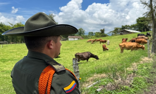 Un uniformado con 17 cabezas de ganado