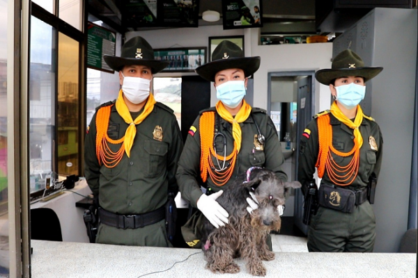 22 caninos hacen parte de la familia policial en Manizales Jornada de atención y vacunación en beneficio de las mascotas adoptadas en cada CAI de Manizales