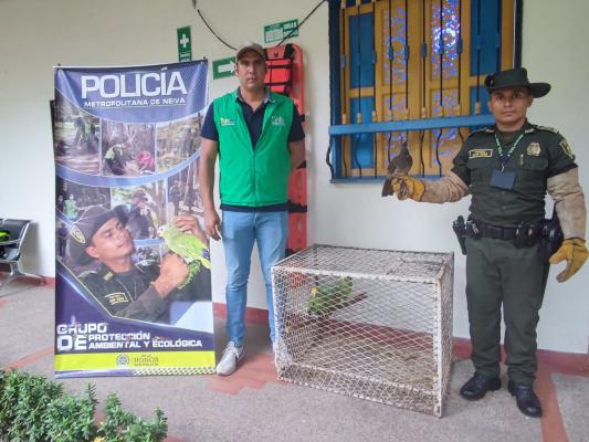 Policía en Neiva, adelanta planes por ambiente sostenible y seguro  