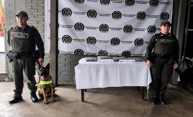 Dos policías y un perro con droga incautada sobre una mesa