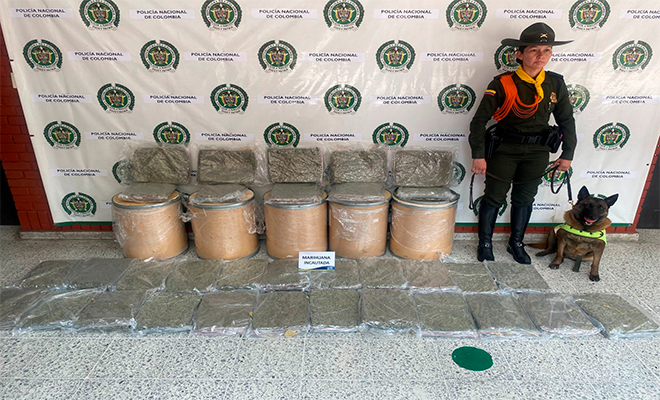 Estupefacientes incautados y un Policía junto con su perro Candy 