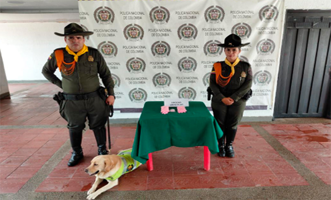 Dos policías junto con un perro y estupefacientes incautado
