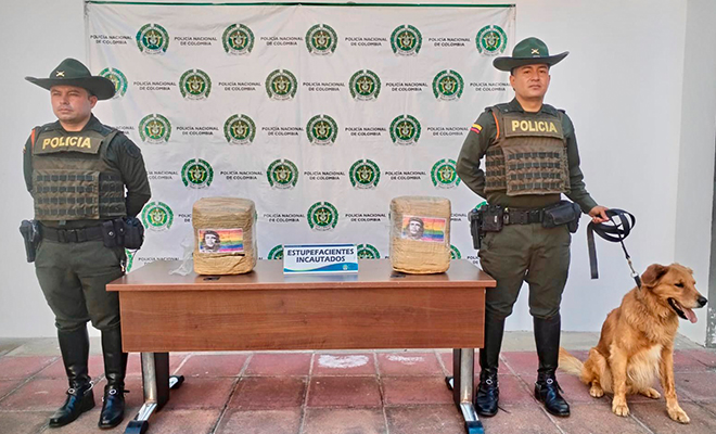 Estupefaciente Incautado