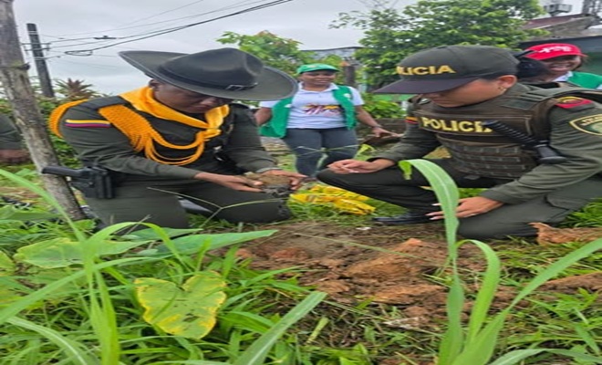 Uniformados de la Seccional de Carabineros y Protecci&oacute;n Ambiental participan en una jornada de siembra de &aacute;rboles en el barrio La Aurora de Quibd&oacute;. Durante la actividad, los participantes siembran especies vegetales en un &aacute;rea verde como parte de una iniciativa de protecci&oacute;n ambiental y recuperaci&oacute;n de espacios naturales.