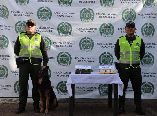 elementos incautados entre ellos marihuana y clorhidrato de cocaínasobre una mesa, junto al canino especializado y los uniformados que participaron en el procedimiento