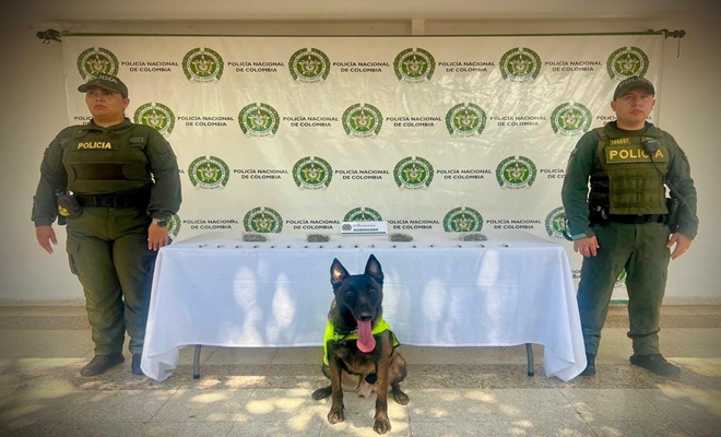 Incautaci&oacute;n de estupefacientes en el malec&oacute;n de Neiva