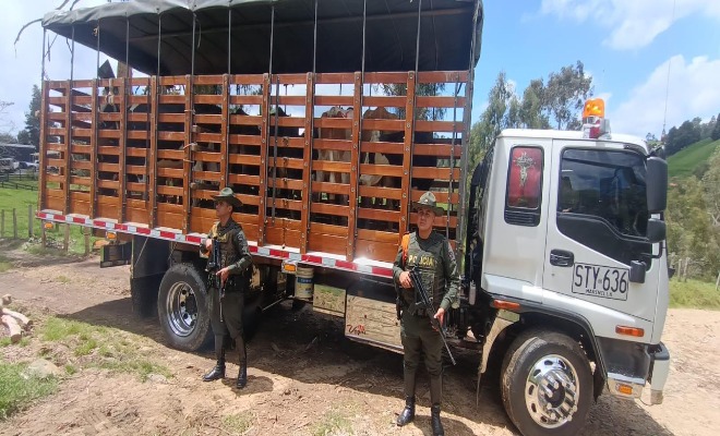 Dos policía custodian custodian camión con semovientes