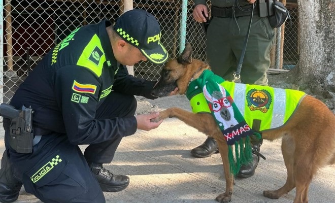 Millones de animales sufren cada año por la pólvora; Policía Nacional hace un llamado a la empatía y la responsabilidad durante las celebraciones.