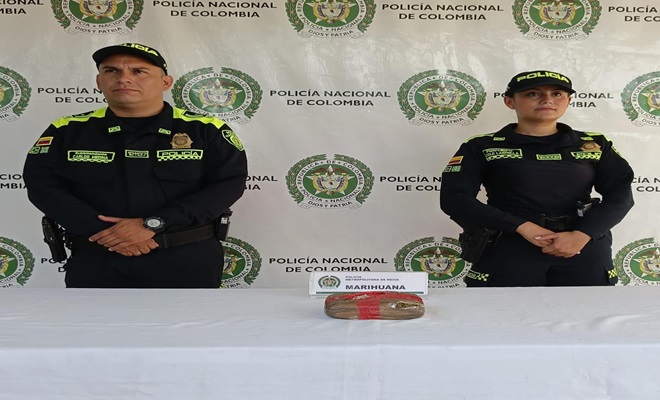 Polic&iacute;a incauta marihuana