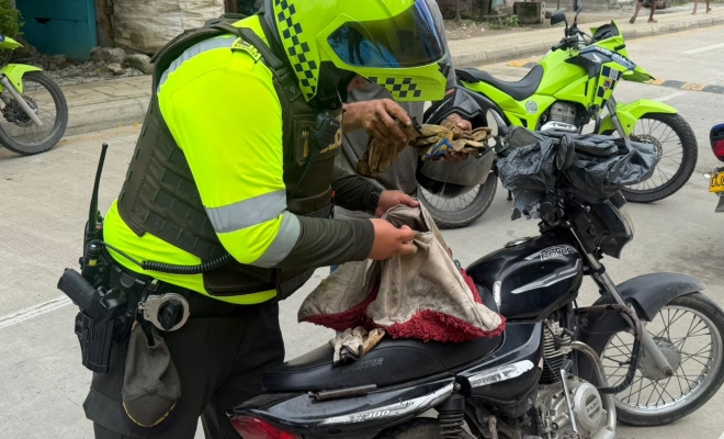 Funcionario policial de transito y transporte realizando registro a un ciudadano 
