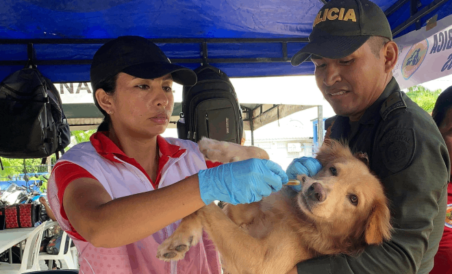 En el Parque Santander se brind&oacute; atenci&oacute;n integral a mascotas, en una actividad interinstitucional orientada a la protecci&oacute;n animal y la tenencia responsable.