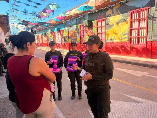 Escuadrón Móvil de Carabineros y Protección Ambiental (EMCAR EFEOR)