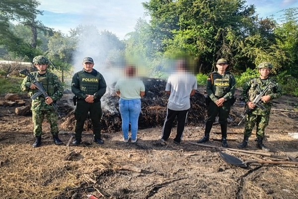 Desmantelan producción ilegal de carbón vegetal en zona rural de Aipe