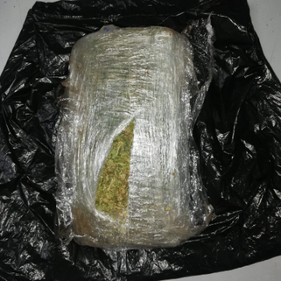 Se le hallo en su poder 500 gramos de marihuana Aprehendimos un adolescente de 17 años por el delito de tráfico de estupefacientes