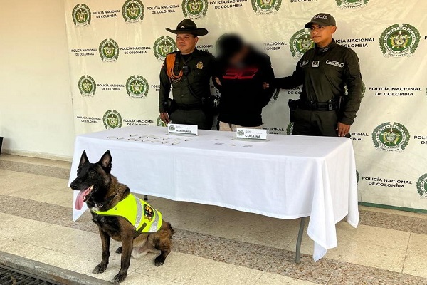 Canino antinarc&oacute;ticos permite incautaci&oacute;n de droga en terminal de Neiva