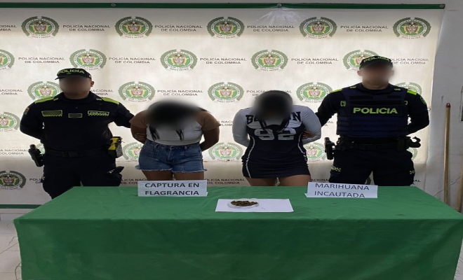 actividad de prevencion y control 