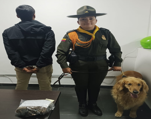 Canina “Sam” logró que la Policía capturara a un hombre estupefacientes  Canina “Sam” logró que la Policía capturara a un hombre estupefacientes