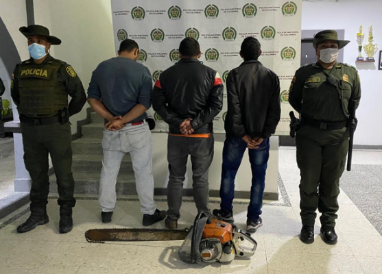 Tres personas capturadas cuando talaban arboles de manera indiscriminada en Manizales Tres personas capturadas cuando talaban arboles de manera indiscriminada