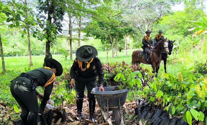 Integrantes del Grupo de Carabineros de la Policía Nacional participan en una jornada de siembra de árboles en el sector de Agua Bonita
