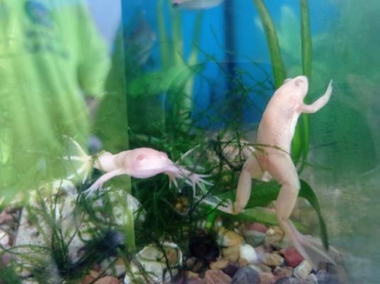 Funcionarios de la Seccional de Investigación Criminal SIJIN, dieron el importante resultado Funcionarios de la Seccional de Investigación Criminal SIJIN, dieron el importante resultado