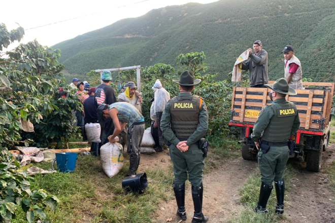 1.792 planes de registro e identificación a personas se han realizado en lo corrido del plan cosecha 2020 Avanza la cosecha cafetera en Manizales segura y en convivencia