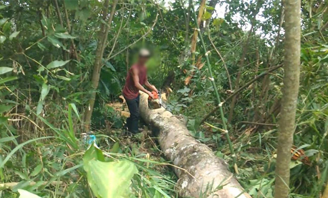 En el Meta la Policía Nacional contribuye a la preservación de los recursos naturales