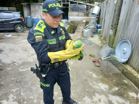 Controles contra el tráfico de fauna  Controles contra el tráfico de fauna