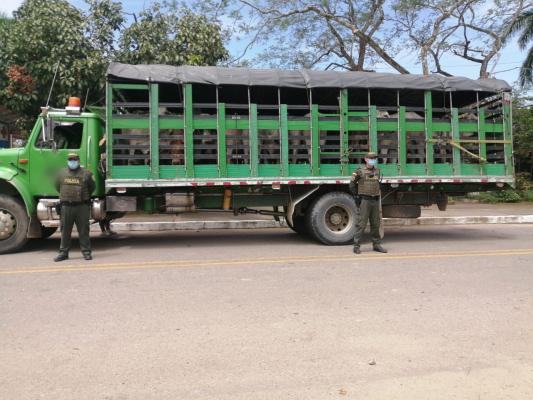 Contundentes-operativos-de-control-contra-el-abigeato-1 