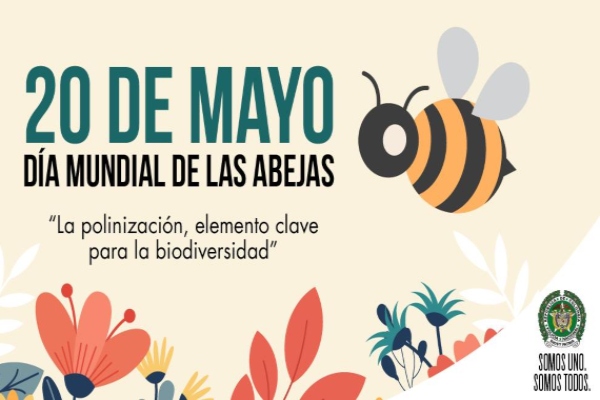 dia-mundial-abejas-2020
