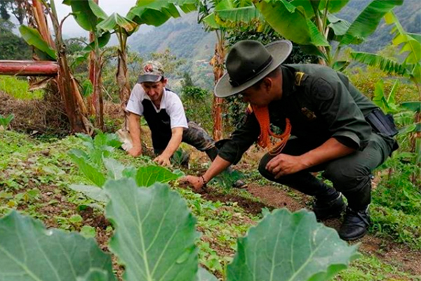 Dirección de carabineros más cerca del ciudadano 