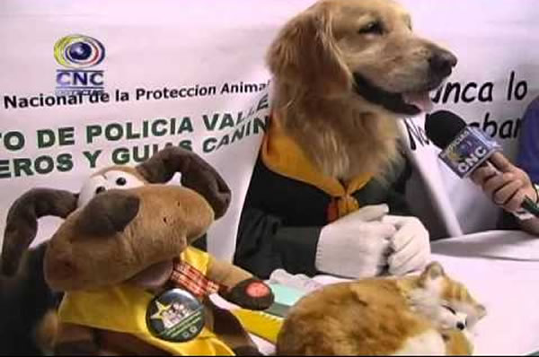 dogui-perro-policia-colombia