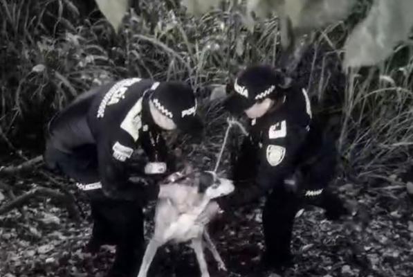 dos policías al lado de un perro rescatado