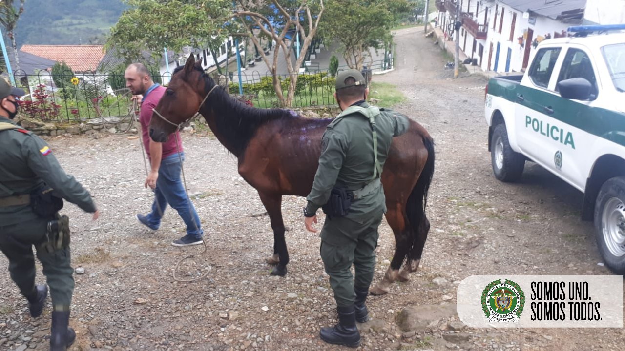 Unidos por la protección animal en el Meta 