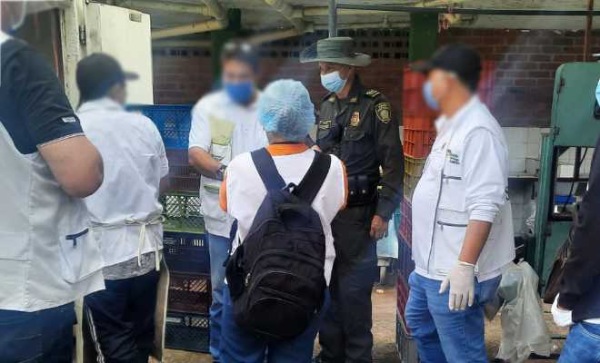 Controles sobre la venta de pescado antes del inicio de semana santa 